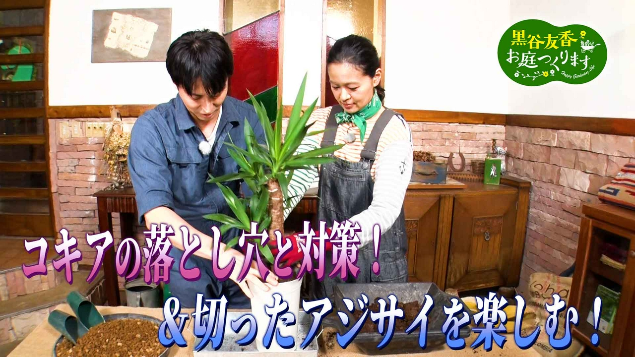 第64回「人気のコキアを植えよう！＆コバエのお悩み一発解決！」