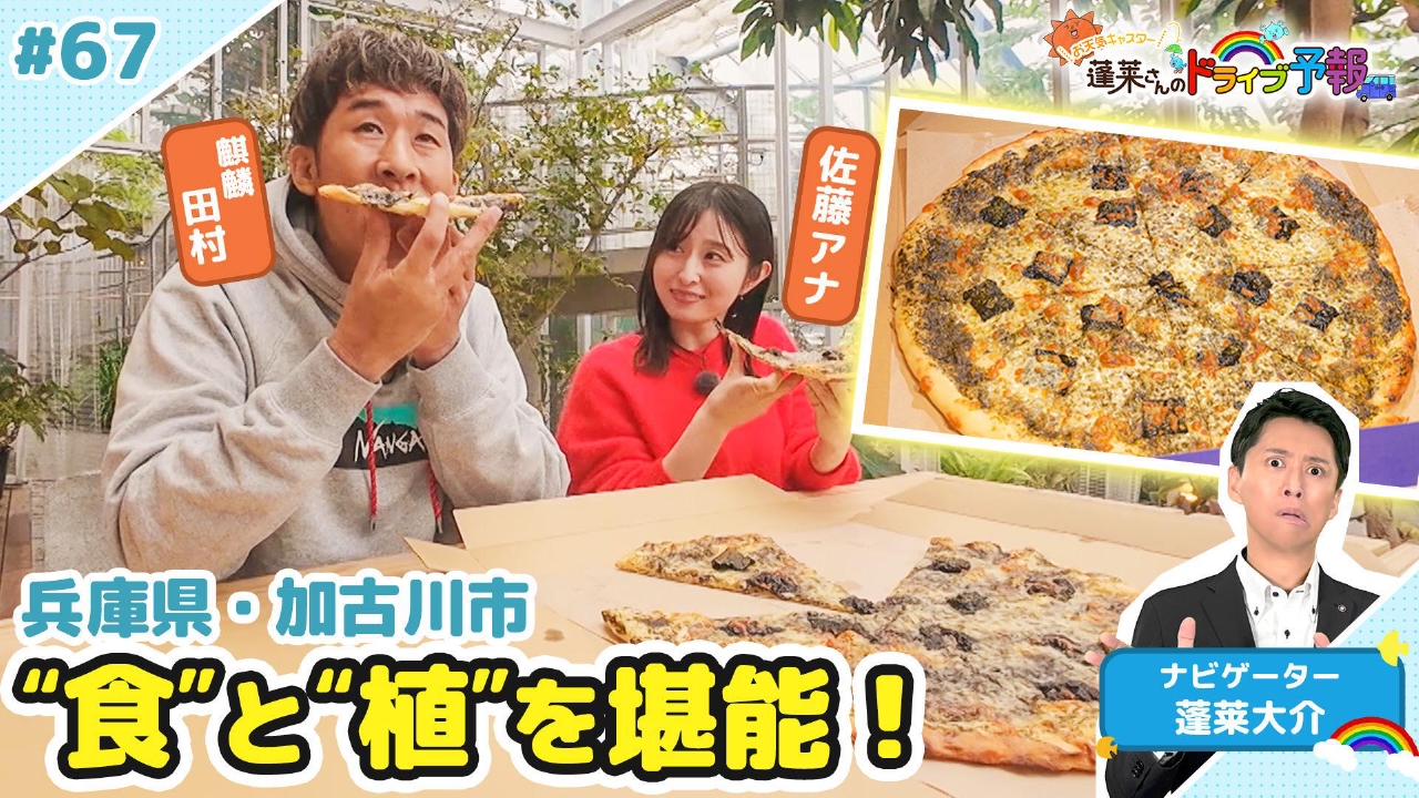 【お天気キャスター蓬莱さんのドライブ予報】加古川に食と「植」の癒やし空間