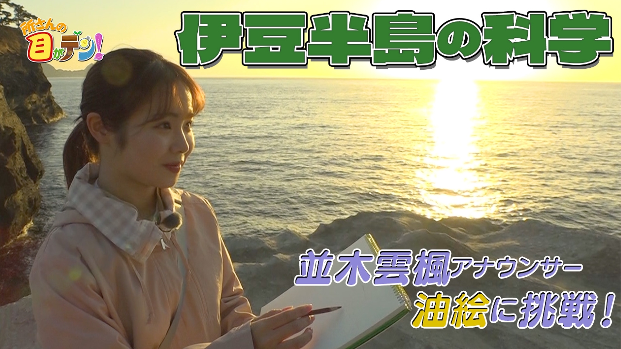 大陸誕生のプロセスが見られる!?世界が注目する伊豆半島