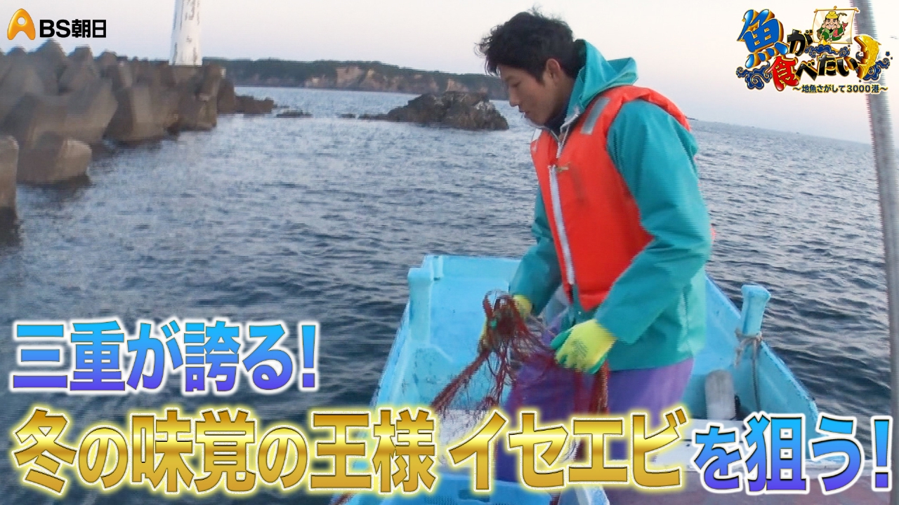 三重のイセエビと寒ビラメ！若手漁師が狙う！
