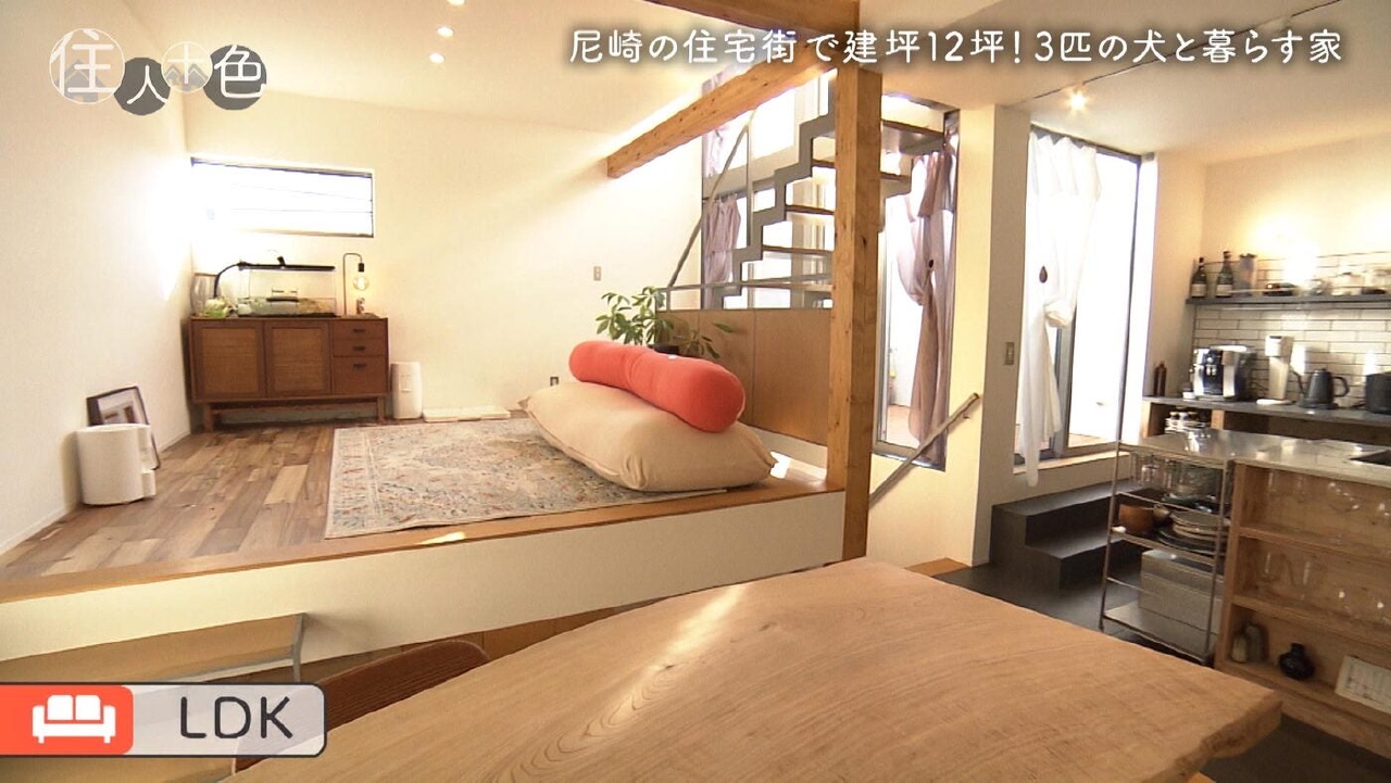 ＃802「人も犬もストレスフリー！ひとつながりの“田の字”ハウス」