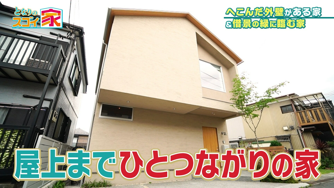 5m吹き抜け＆緑に臨む28帖LDKの開放感▼凹んだ（秘）外壁