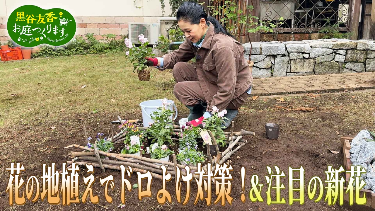 第49回「花の地植えでドロよけ対策！＆2026年注目の新花」