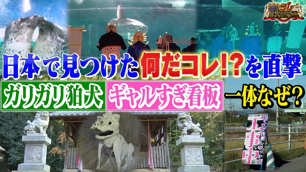 ガリガリの狛犬？ギャルすぎ看板？何だコレ