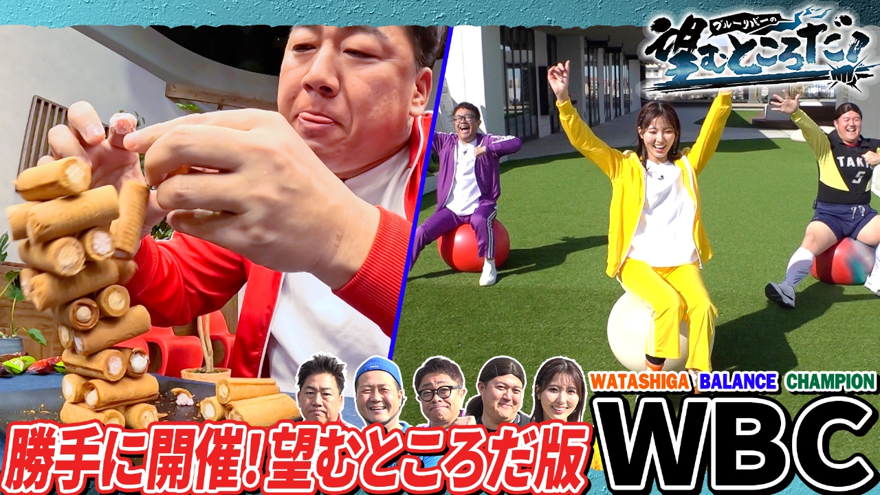 勝手に開催！望むところだ版WBC