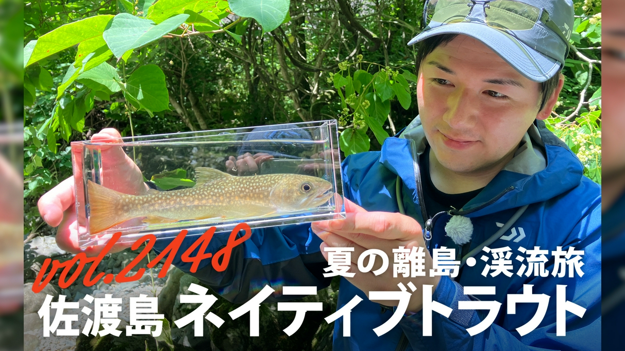 夏の離島・渓流旅 佐渡島ネイティブトラウト