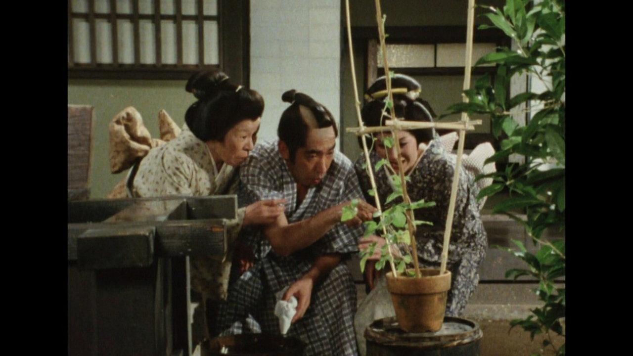 第４０話　「主水 世にも不思議な朝顔を作る」