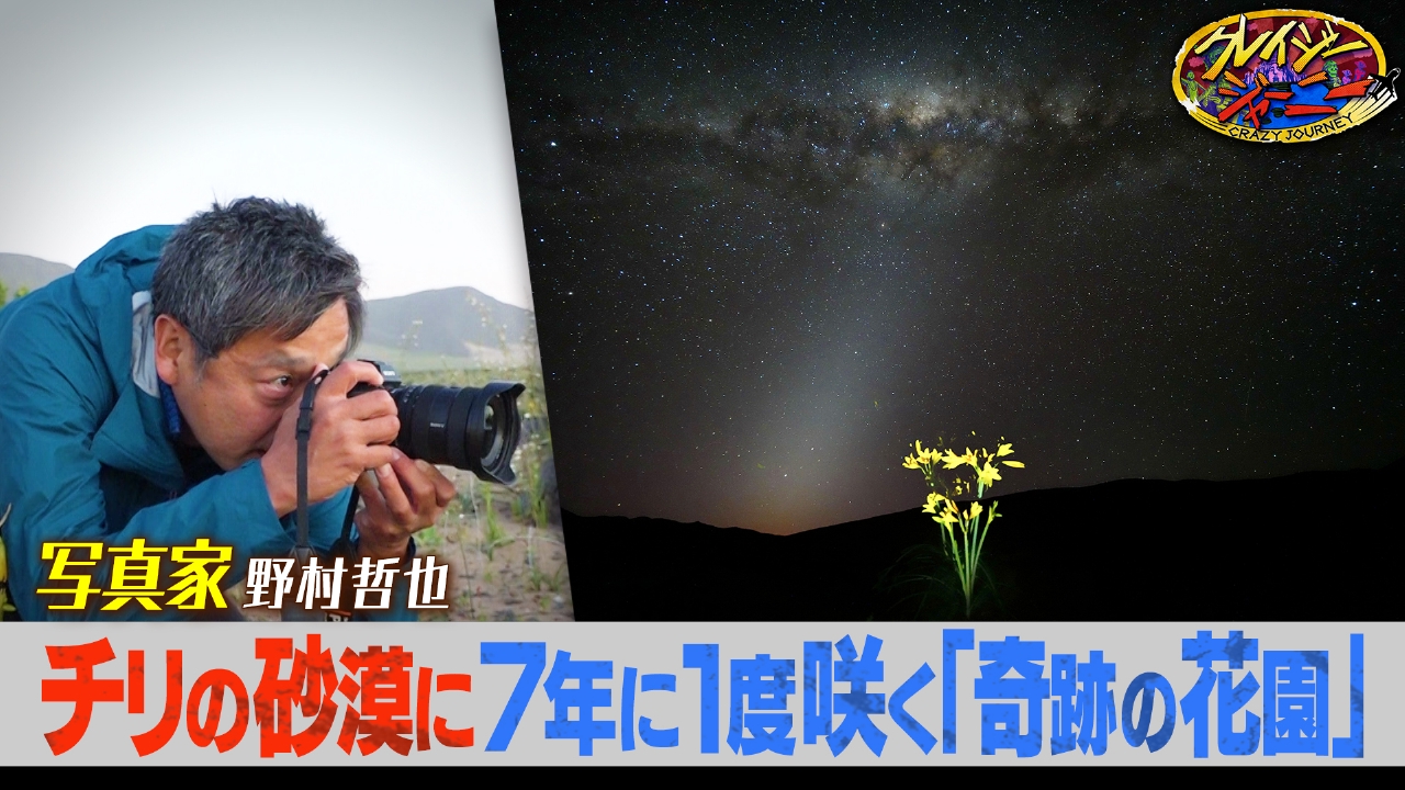 7年に1度の奇跡★砂漠が360度花園に！南米チリ撮影旅