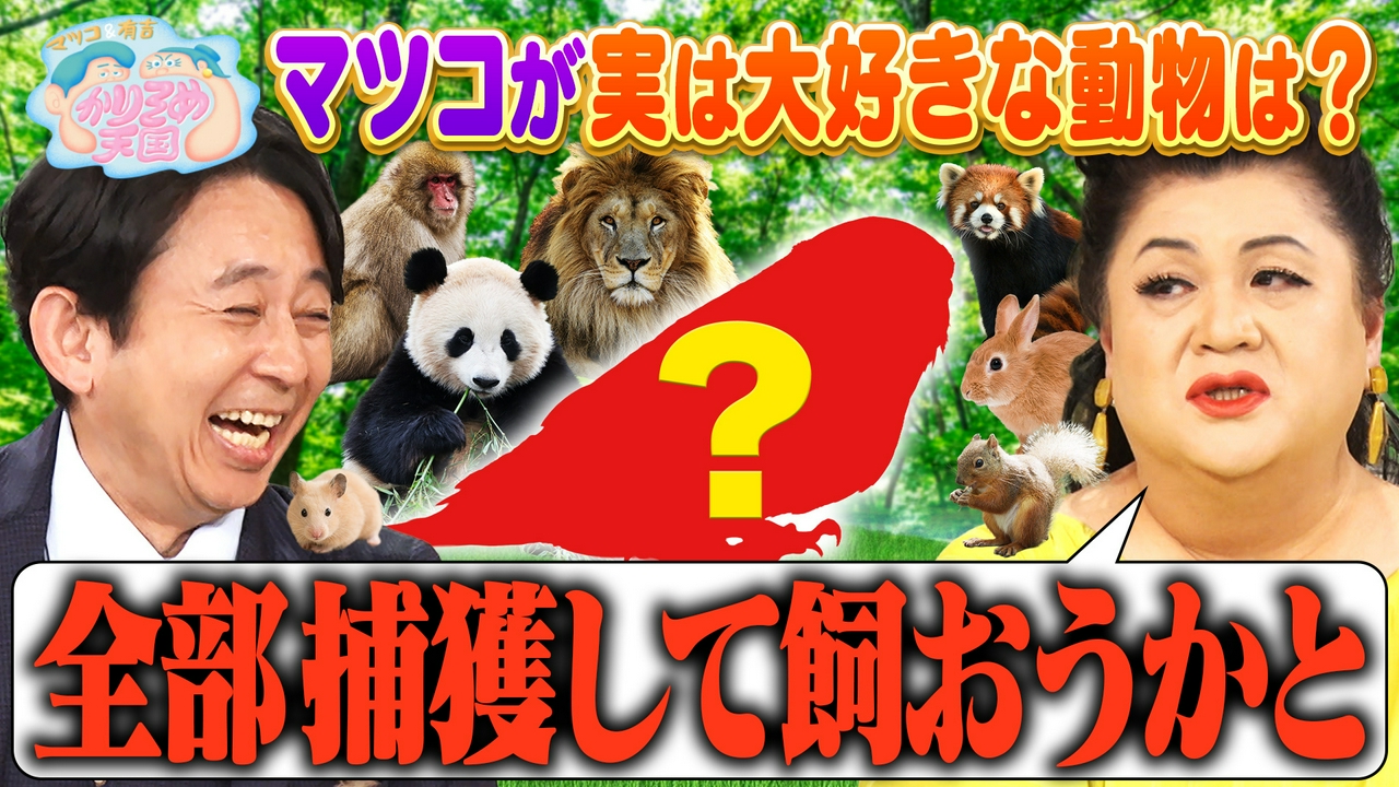 マツコが飼いたい動物 銀次と京子の絶品チャーハン旅