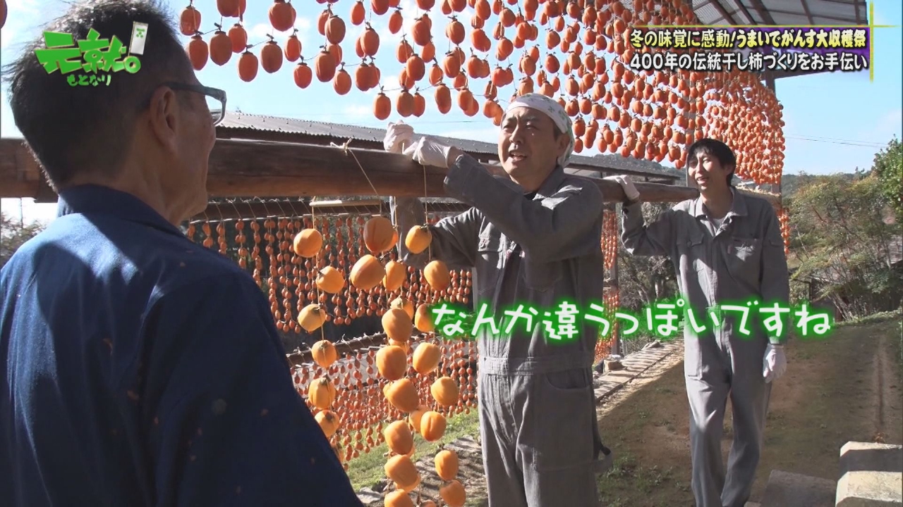 年末大収穫祭in尾道【絶景すぎる天空柿園&掘りたて新生姜メシ】