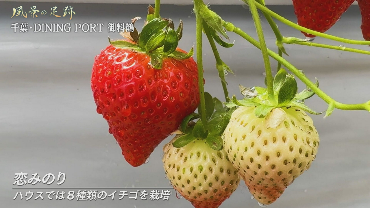 千葉県成田市　DINING PORT 御料鶴篇