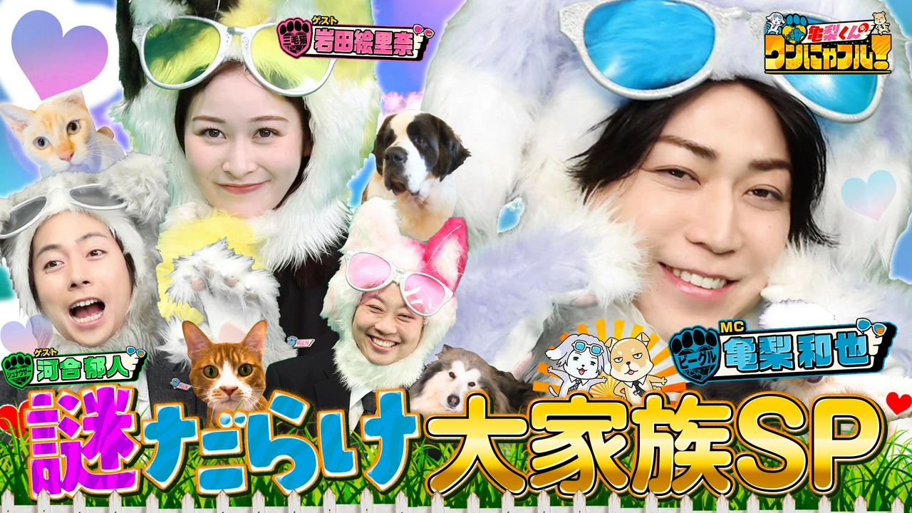 MC：亀梨和也！猫嫌い保護猫シン…涙の譲渡＆モップ大型犬＆壁挟まれ猫救出