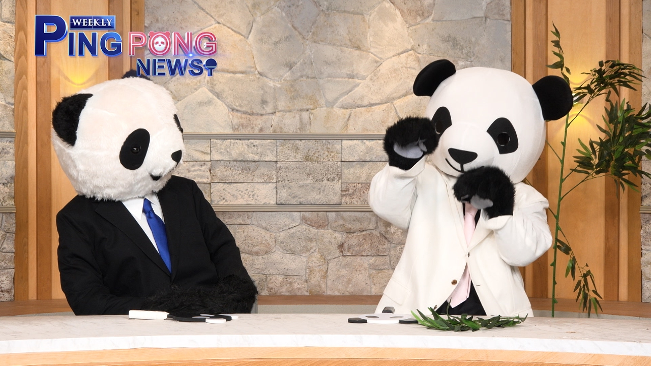 卓球界黄金世代、平野美宇、早田ひな特集