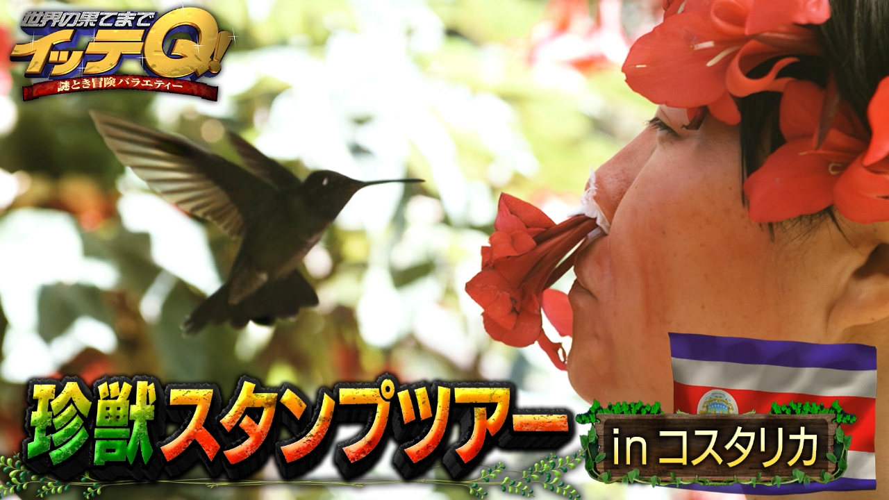 コスタリカで珍獣発見10連発!世界一美しい鳥ケツァール激写へ