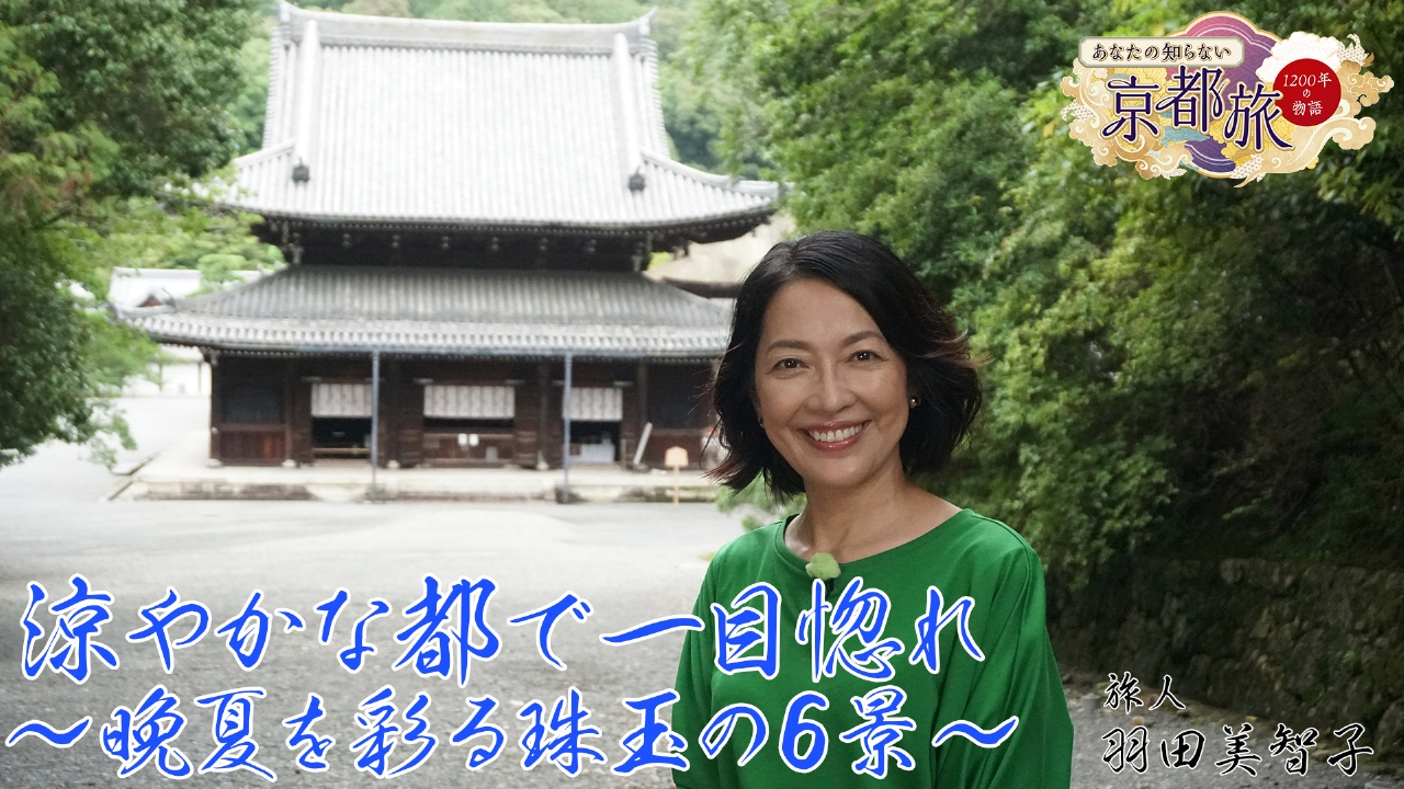 涼やかな都で一目惚れ ～晩夏を彩る珠玉の6景～