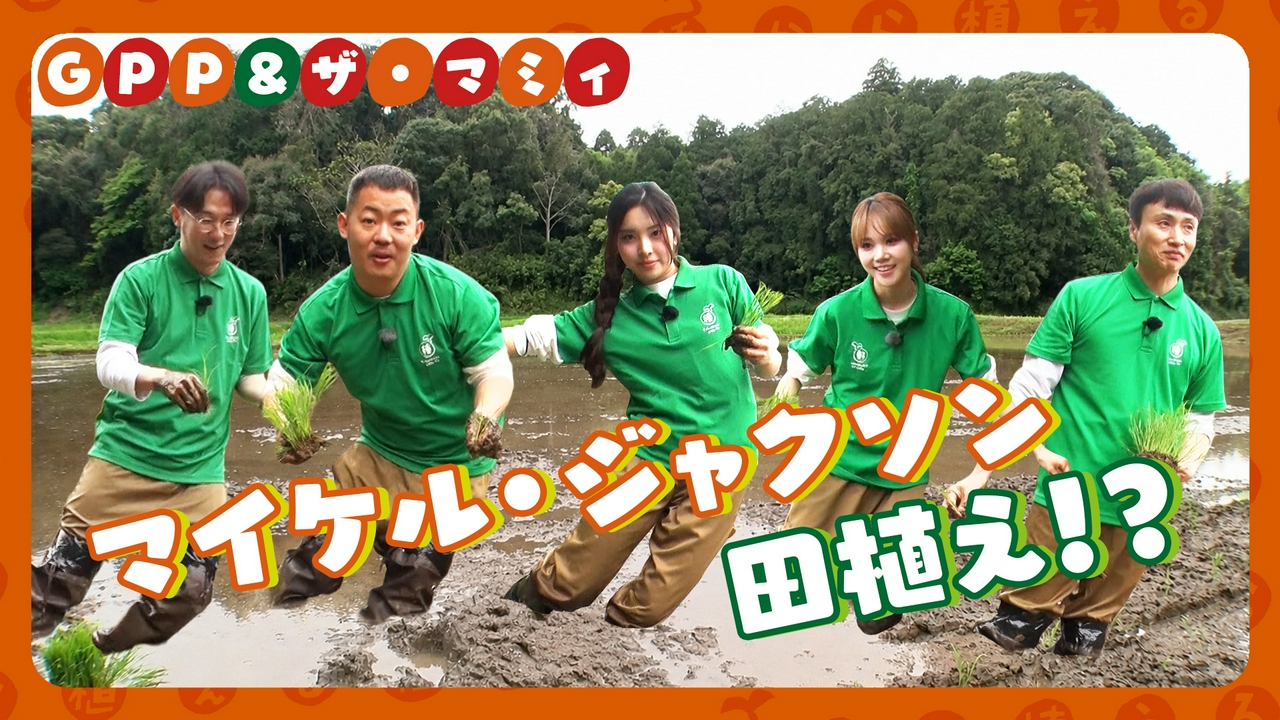 第211回 GPP＆ザ・マミィが田植えに挑戦！過酷な作業に転倒者続出！