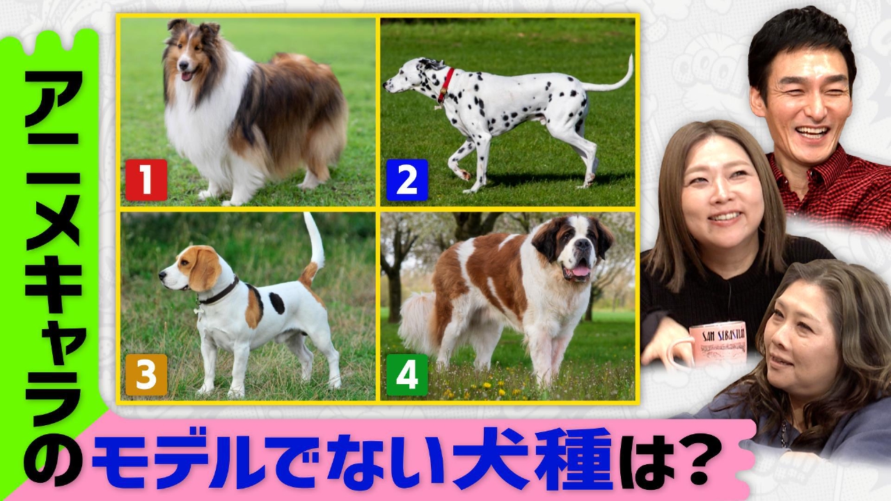 全２０９犬種記憶力対決