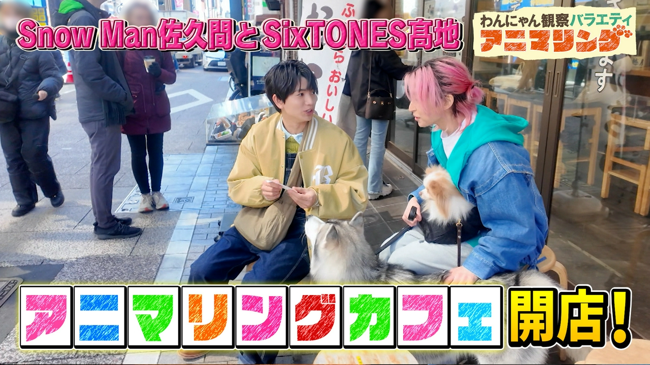 Snow Man佐久間とSixTONES髙地がワンちゃんに振り回される！？