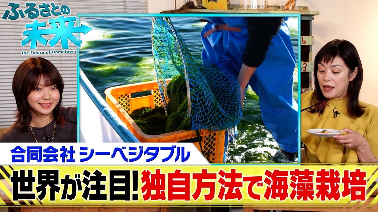 合同会社シーベジタブル