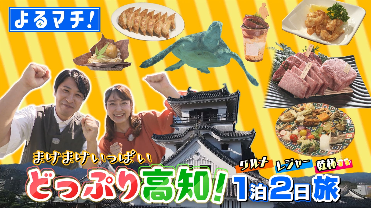 よるマチ！まけまけいっぱい　どっぷり高知！1泊2日旅