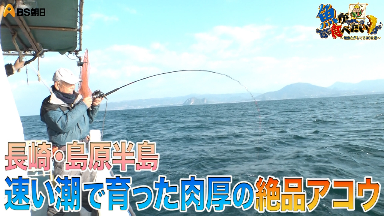 速い潮流で起伏も激しい漁場でアコウの1本釣り漁に密着！