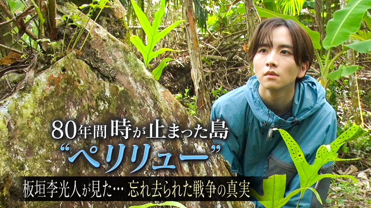 2025年11月22日放送