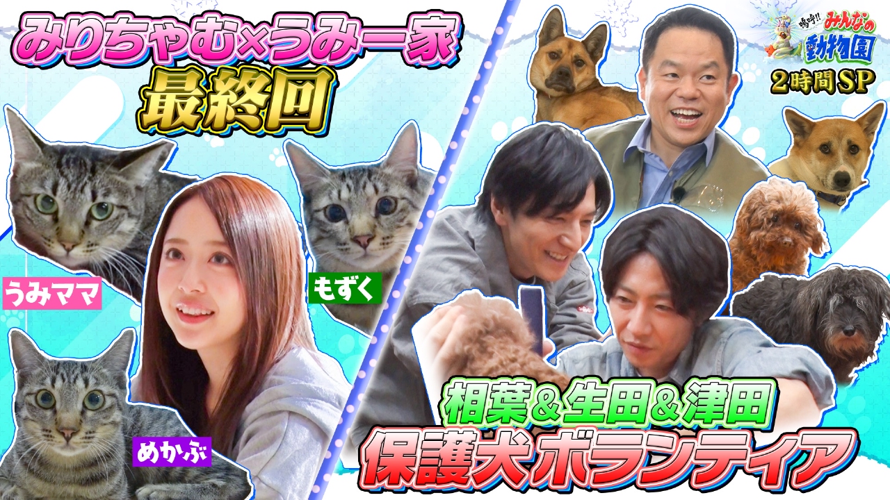 みりちゃむ預かり最終回!うみ一家2度目の譲渡会