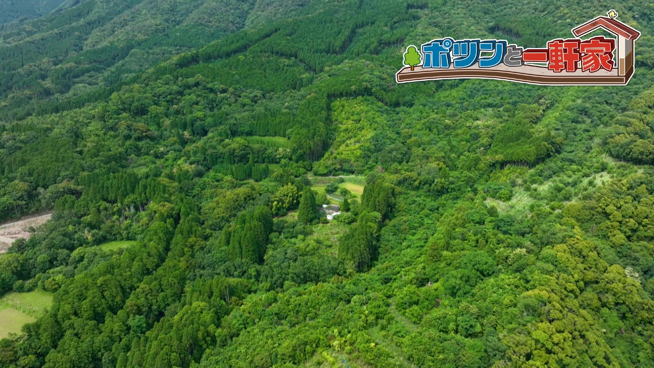 宮崎県の深い山の中でポツンと一軒家を発見！亡きご主人の思い出を胸に一人暮らしを続ける７９歳の女性。語られた人生ストーリーにゲストは深い感銘を受ける…