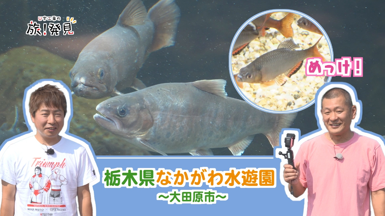 なかがわ水遊園