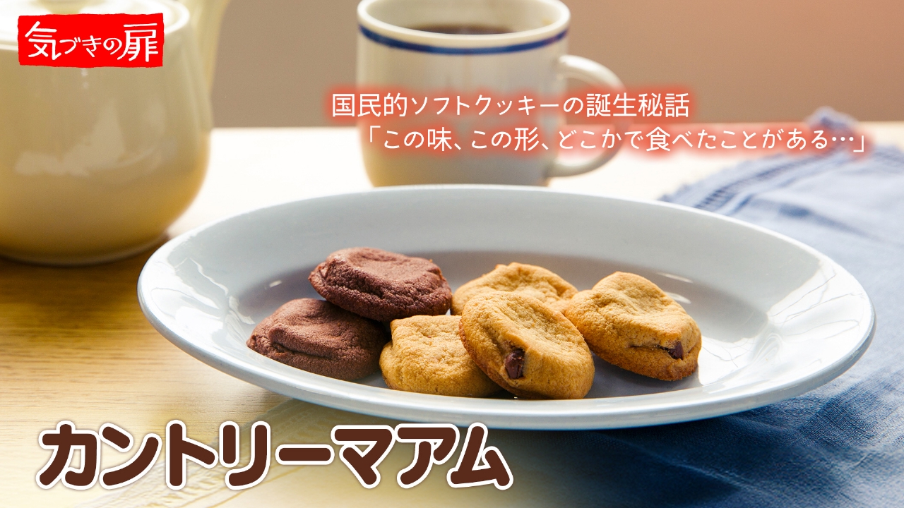 2025年11月28日放送