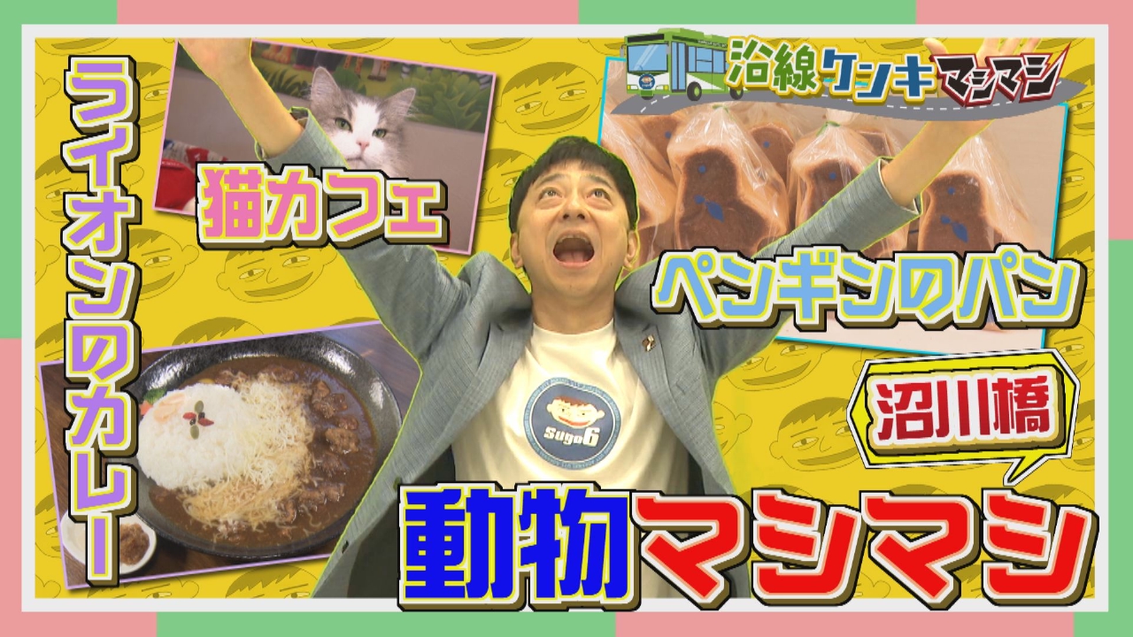 シーズン7　沼川橋編