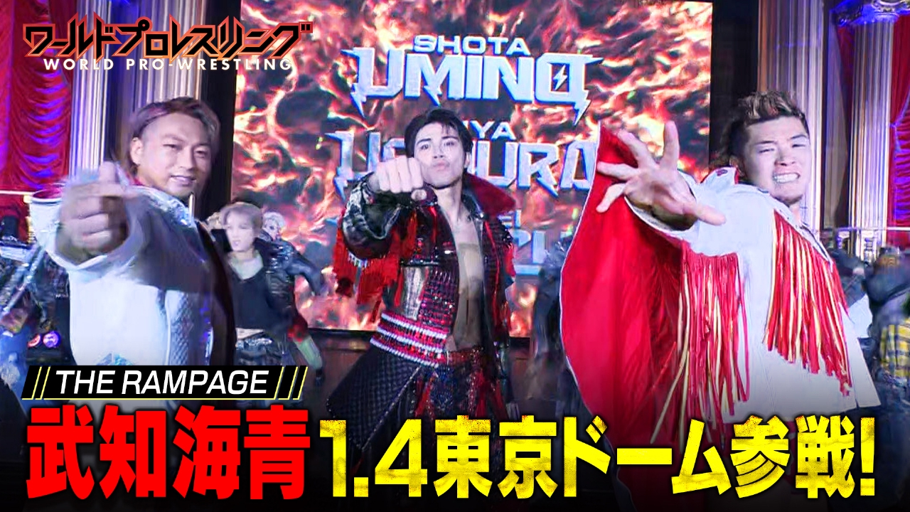 1.4東京ドーム！24選手参戦の豪華トルネードランボー！