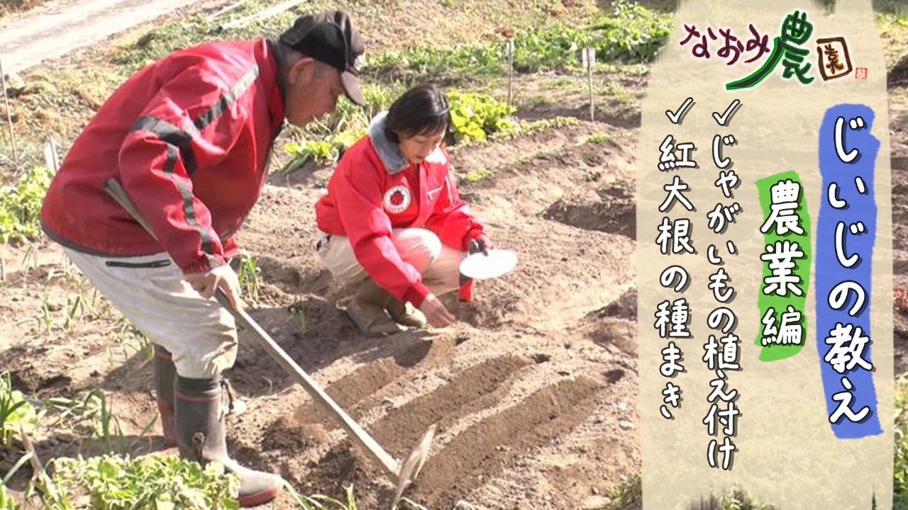 紘二の教え 農業編 野菜の植え付けと種まき