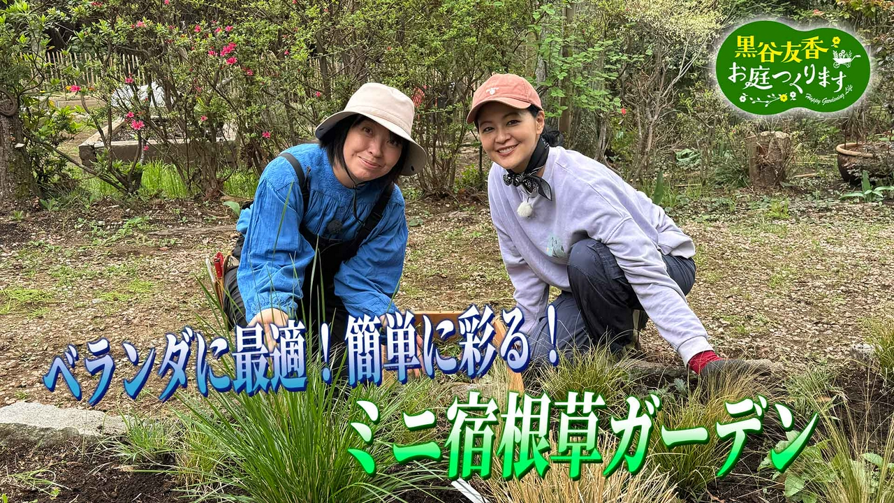 第63回「ベランダに最適！「ミニ宿根草ガーデン」」