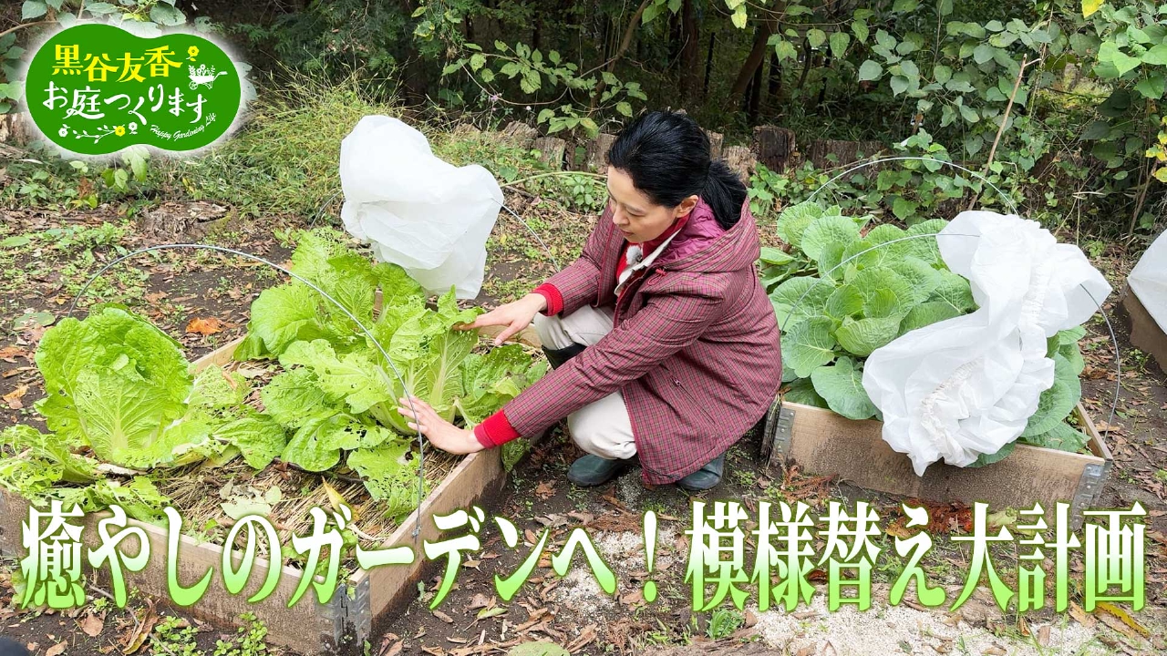 第47回「癒やしのガーデンへ！友の庭 模様替え大計画」