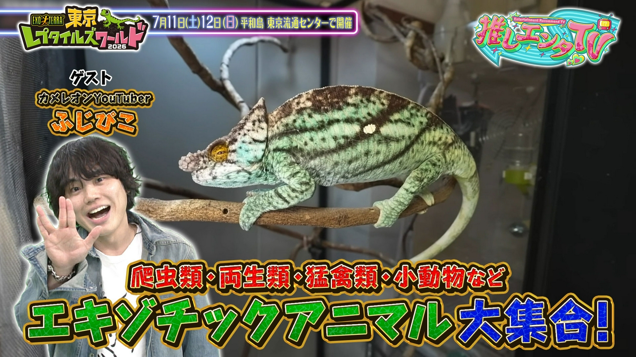 2026年4月20日放送分