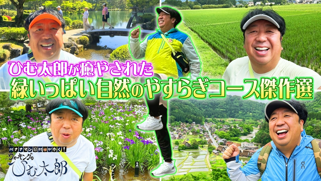 ひむ太郎が癒やされた緑いっぱい自然の安らぎコースをウォーキング