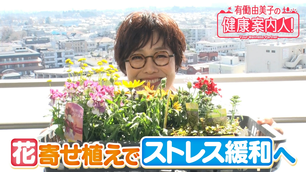 花の寄せ植えでストレス軽減