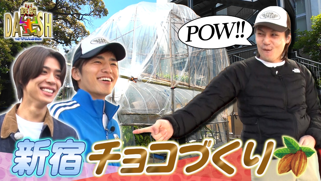 真冬の新宿で奇跡のカカオ栽培!松島聡が茶屋コタツづくり