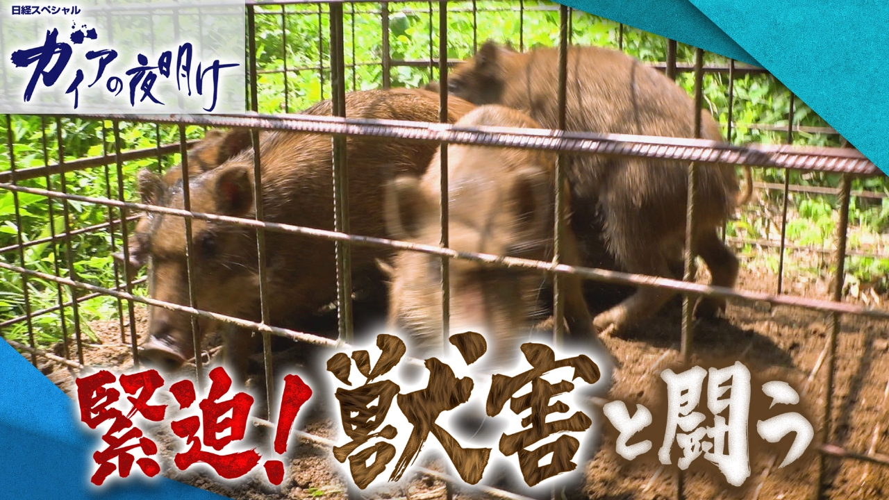 【緊迫！獣害と闘う】鉄道会社が「逆転の発想」で害獣駆除に挑む