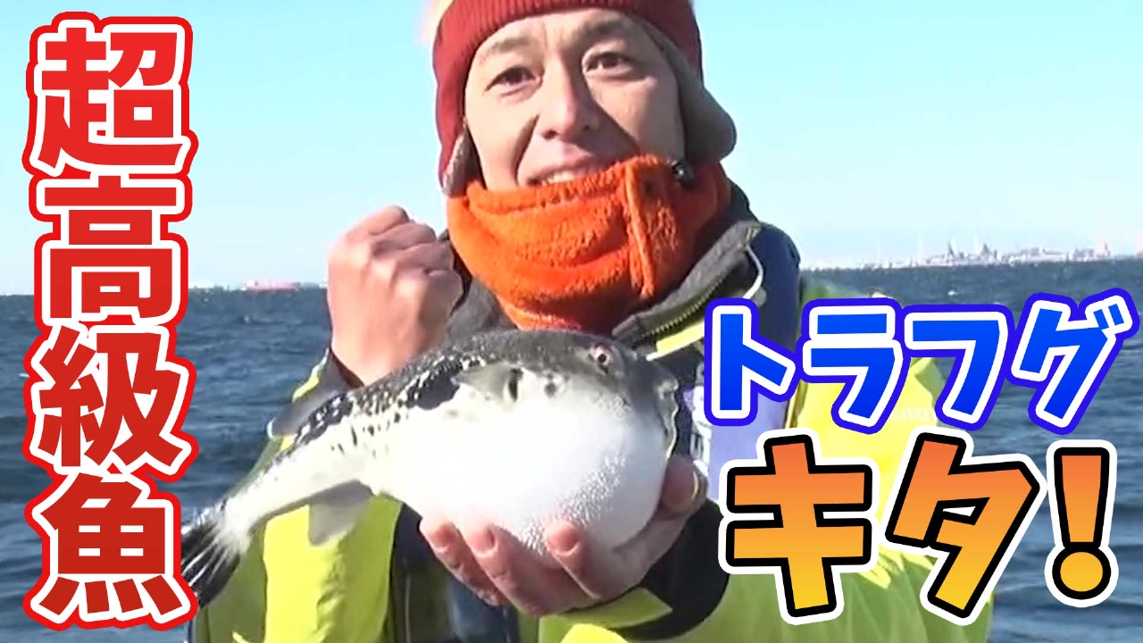 掛けたら絶対にGETしたい超・⾼級魚！ トラフグ釣りならまかせろ！