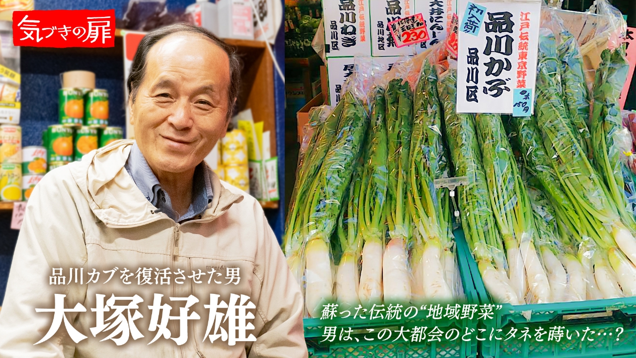 2025年11月14日放送