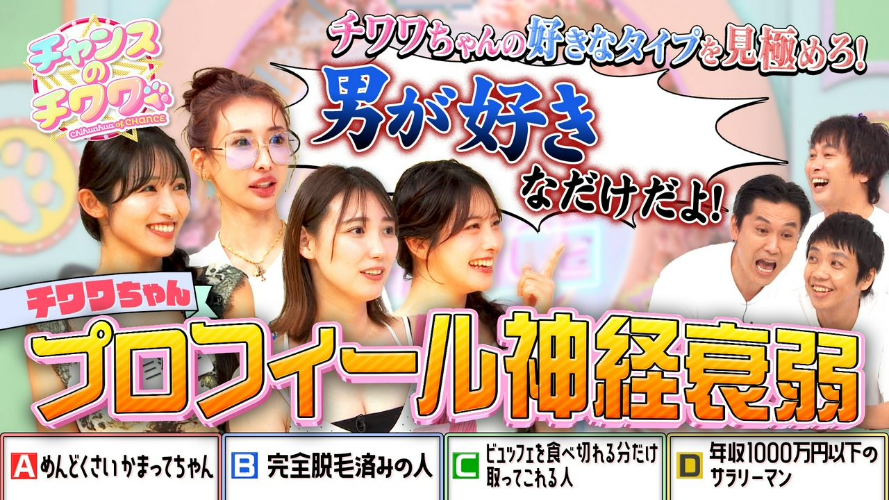 美女たちの好きな男性のタイプを当てろ！プロフィール神経衰弱