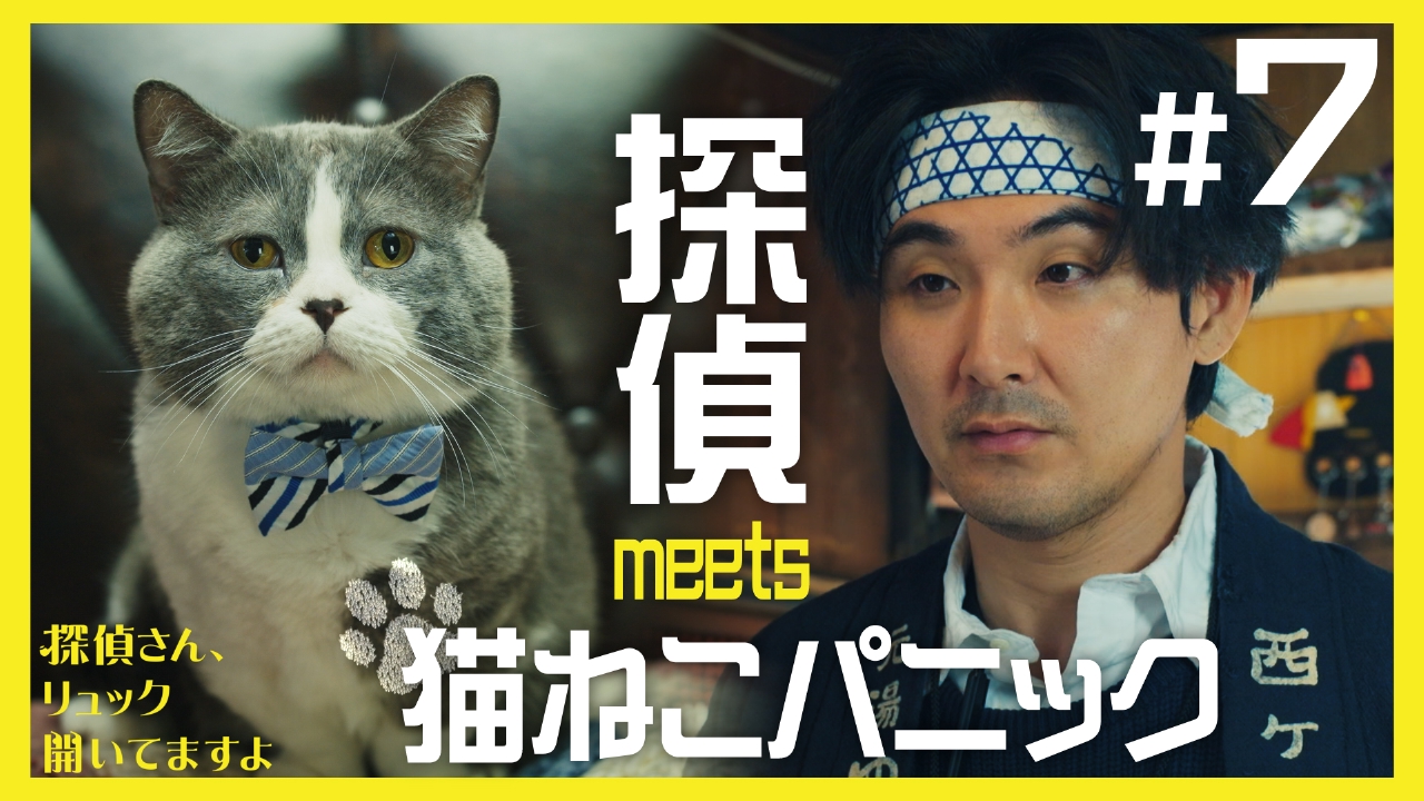 第7話「Lost Cat Days 探偵」