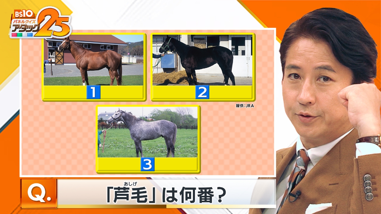 年男・年女大会