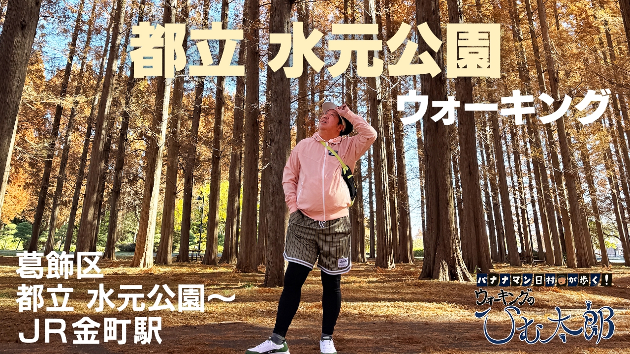 のどかな下町で紅葉を堪能コース！「都立 水元公園～金町駅」をウォーキング