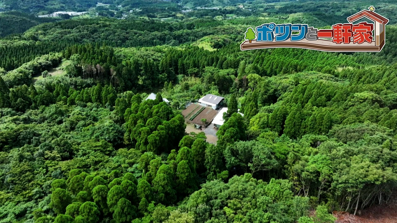 妻の笑顔のために、日向ぼっこができる家をつくり続けるご主人。鹿児島の山奥で出会った、愛情深いご夫婦のライフストーリーとは…！？