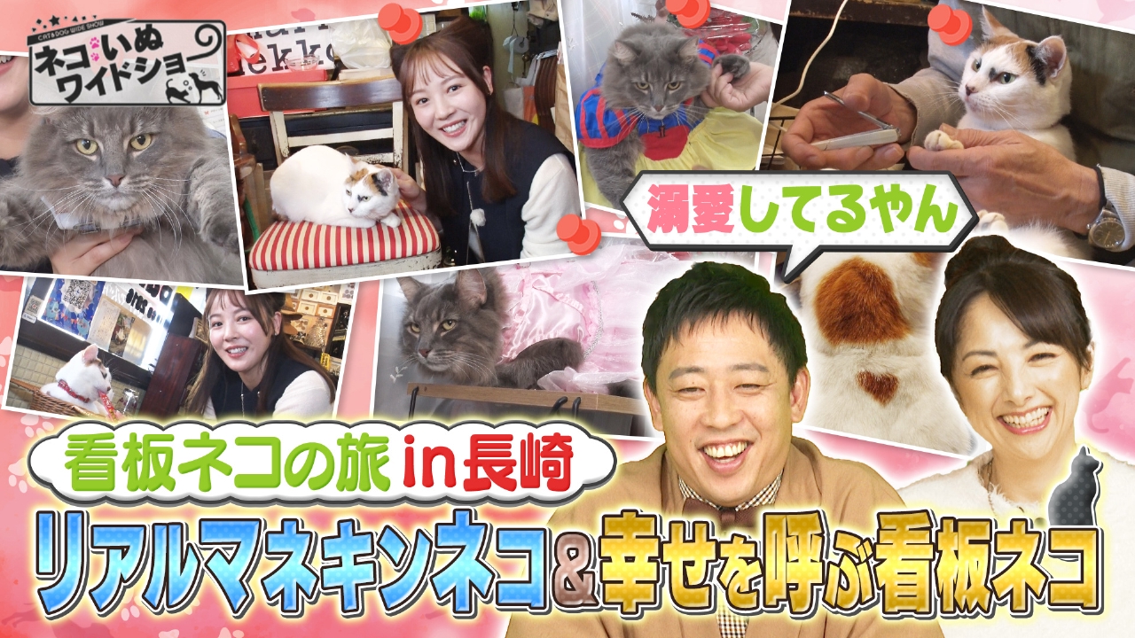 看板ネコin長崎/動物愛護に全てを賭ける！元競輪女王のセカンドキャリア