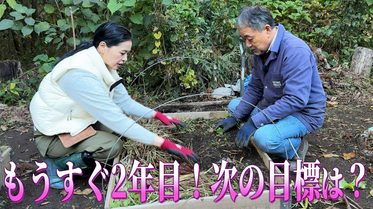 第52回「もうすぐ2年目！次の目標は？～丘づくりにツリーハウス？」