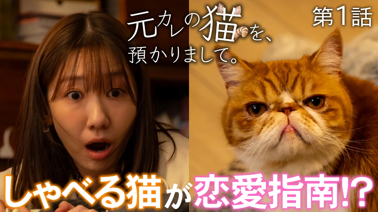 第1話 しゃべる猫が恋愛指南！？